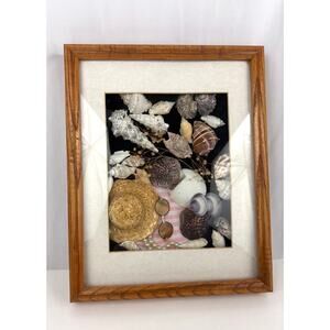 VTG Handmade Sea Shell Beach Art 12"x15" Nautical Beachy‎ Shadowbox